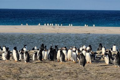 Falkland Islands Tax Seminars