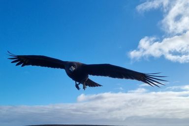 Falkland Islands Individual Tax